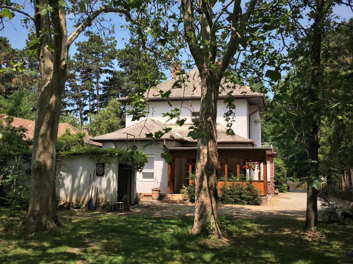 Honvéd apartmanház Balatonlelle Esterno foto